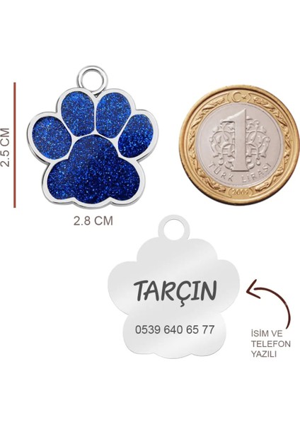 Çelik Simli Kedi Künyesi Kedi Isimliği fırsatları