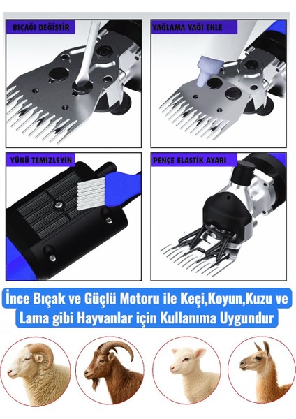 Schmıtzer Pro Seri Metal Şanzuman Profesyonel Koyun Keçi Kırpma-Kırkma Makinası 6 Kademe Devir Ayarlı modelleri