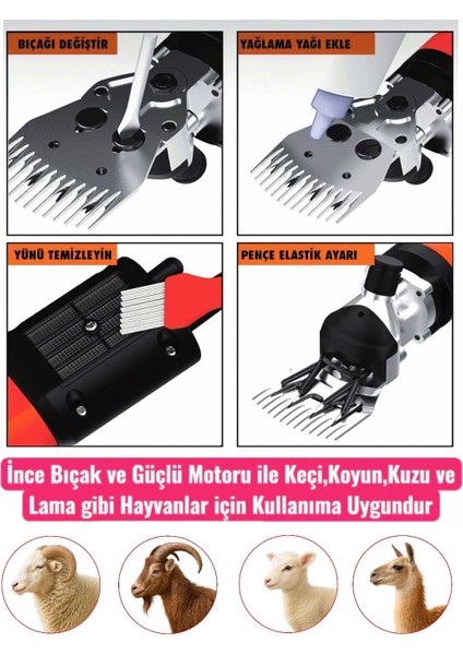 Schmıtzer Pro Seri Metal Şanzuman Profesyonel Koyun Keçi Kırpma-Kırkma Makinası 6 Kademe Devir Ayarlı modelleri