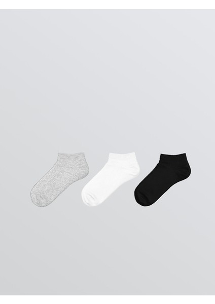 Yeni Sezon Basic Erkek Çocuk Patik Çorap 3'lü