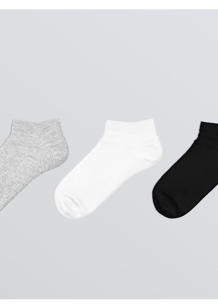 Yeni Sezon Basic Erkek Çocuk Patik Çorap 3'lü fiyatları