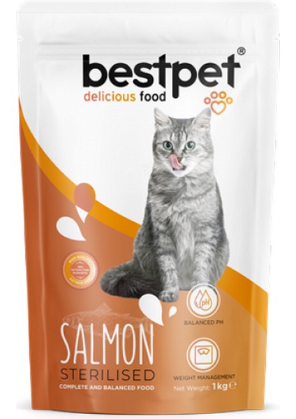 Zengezur Bestpet 1 kg x 10 Adet Yetişkin Kısırlaştırılmış Kediler Için Somonlu Kuru Mama