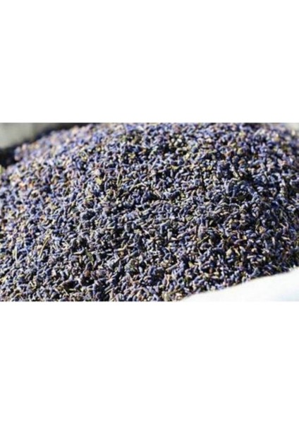 Şoklu Lavanta Çiçeği Karışık Renk 1 kg