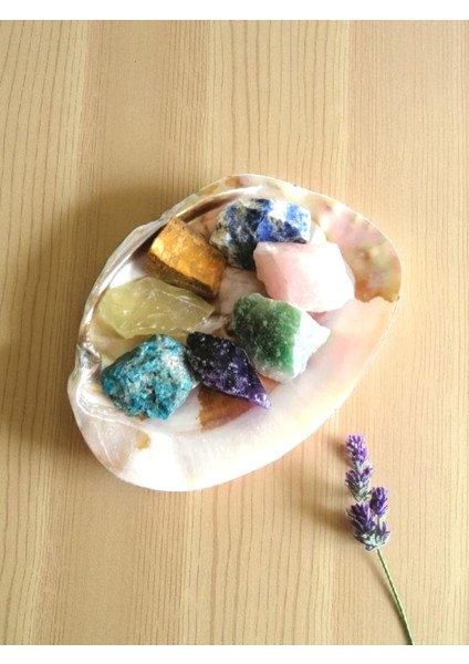 Artemis Istiridye Sedef Deniz Kabuğu ve 7'li Ham Doğal Taş Set fiyatları