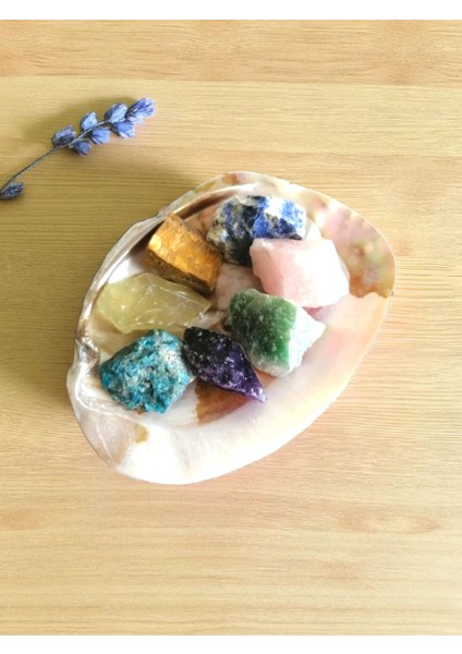 Artemis Istiridye Sedef Deniz Kabuğu ve 7'li Ham Doğal Taş Set modelleri