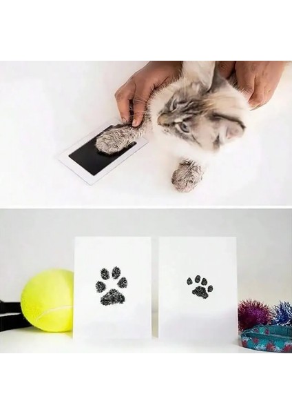 Kedi Köpek Pati Izi Fotoğraf Çerçevesi Seti fiyatları