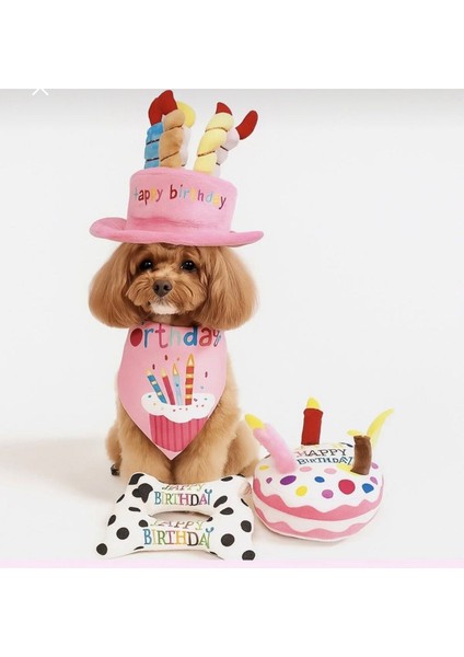 Kedi/köpek Doğum Günü Parti Seti (5 Parça) Evcil Hayvan Doğum Günü Partisi Tam Set