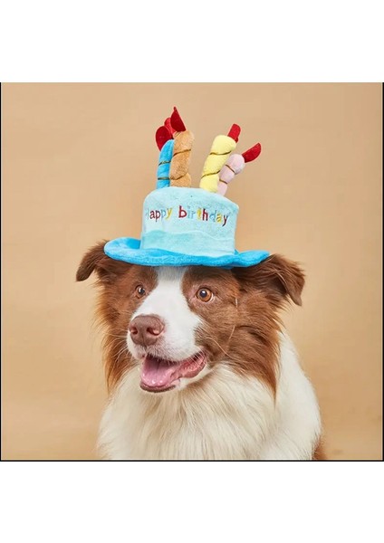 Kedi/köpek Doğum Günü Parti Seti (5 Parça) Evcil Hayvan Doğum Günü Partisi Tam Set fırsatları