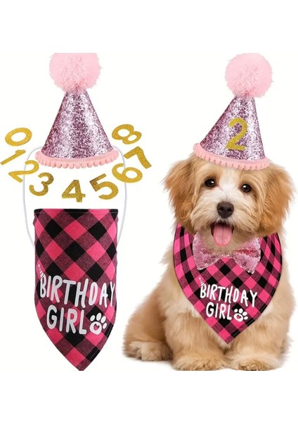 Köpek Doğum Günü Parti Seti(4 Parça: Şapka-Papyon-Önlük-Numara) Evcil Hayvan Tam Set fiyatları