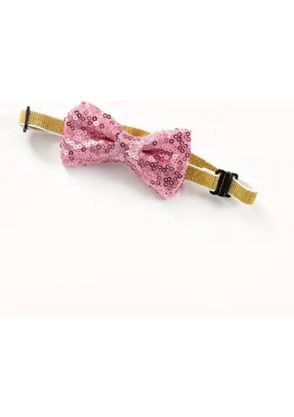 Köpek Doğum Günü Parti Seti(3 Parça: Şapka-Papyon-Önlük) Evcil Hayvan Şahane Set fırsatları