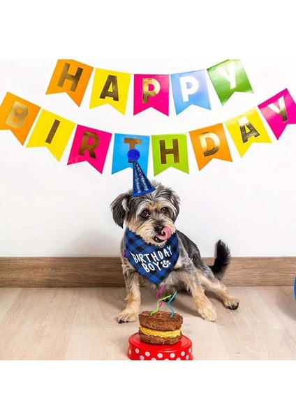 Köpek Doğum Günü Parti Seti(4 Parça: Şapka-Papyon-Önlük-Numara) Evcil Hayvan Tam Set