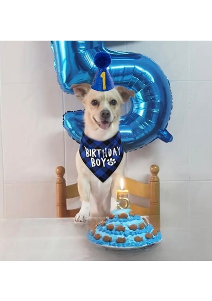 Köpek Doğum Günü Parti Seti(4 Parça: Şapka-Papyon-Önlük-Numara) Evcil Hayvan Tam Set