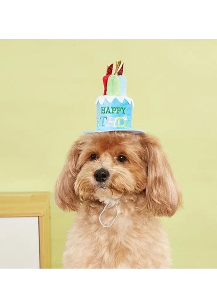 Kedi/köpek Doğum Günü Şapkası - Evcil Hayvan Parti Şapkası