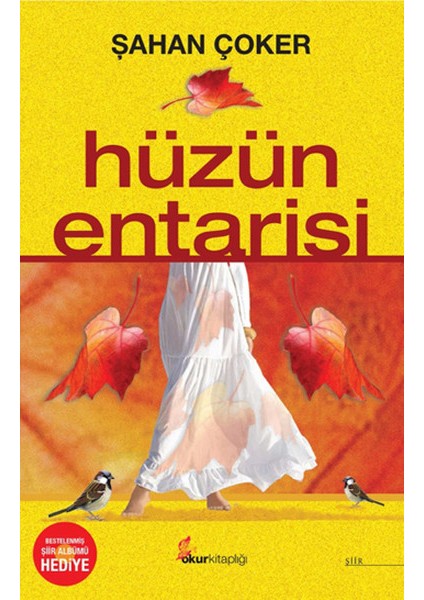 Hüzün Entarisi