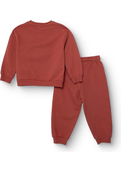 Erkek Bebek Eşofman Takımı Üç Iplik Uzun Kol Ribanalı Paça fiyatları