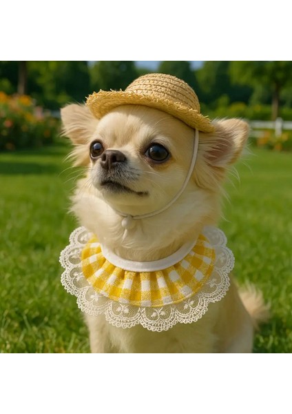 Kedi/köpek Hasır Şapka ve Dantelli Önlük Seti (2 Parça) Evcil Hayvan Günlük Kıyafet modelleri