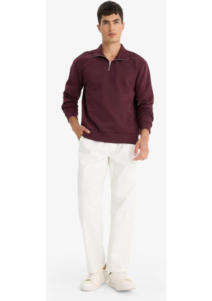 Regular Fit Dik Yaka Yarım Fermuarlı Basic Düz Sweatshirt X7405AZ25AU fiyatları