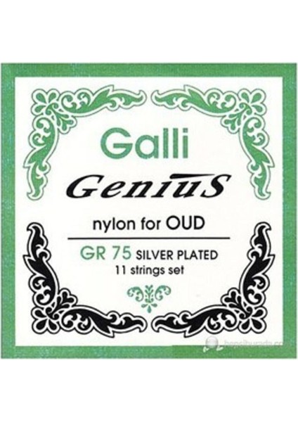 GR-75 Ud Teli fiyatları