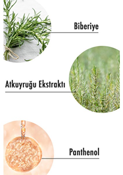 Rosemary Hair Toner Arındırıcı Etkiyle Yağlı Ciltler İçin 200 ml modelleri