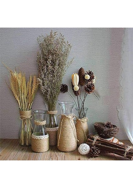 2 Rulo Doğal Sicim 3 Kat Filament Sicim Malzemesi Hediye Sarma Botanik Noel El Yapımı Sanat Dekorasyonu (Yurt Dışından) indirimleri