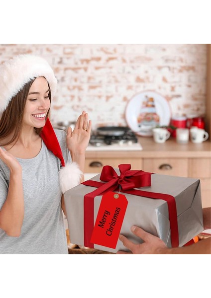 400 Boş Nakliye Etiketi, 4,75X2.35 Inç Takviyeli Delikli ve Telli Etiket Askısı, Ürün Mücevher Giyim Etiketleri B (Yurt Dışından) fırsatları