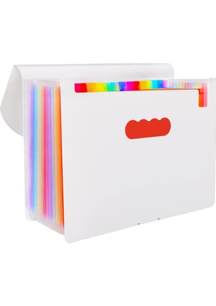 Ev Ofis Okul Için 12 Cepli A4 Akordeon Dosya Belge Düzenleyici (Yurt Dışından)