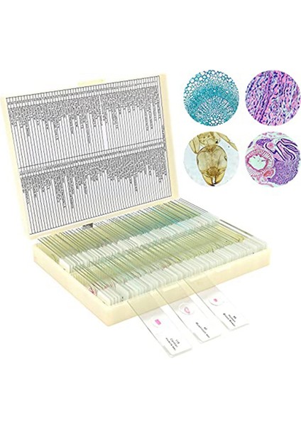 Çocuklardan Örneklerle Mikroskop Slaytları, Çocuklarda Yetişkin Mikrobiyoloji Için Mikroskop Slaytları, 100 Adet (Yurt Dışından)