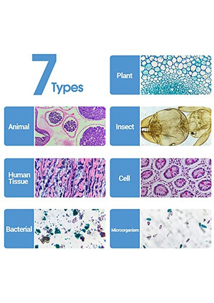 Çocuklardan Örneklerle Mikroskop Slaytları, Çocuklarda Yetişkin Mikrobiyoloji Için Mikroskop Slaytları, 100 Adet (Yurt Dışından) fiyatları