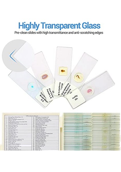 Çocuklardan Örneklerle Mikroskop Slaytları, Çocuklarda Yetişkin Mikrobiyoloji Için Mikroskop Slaytları, 100 Adet (Yurt Dışından) modelleri