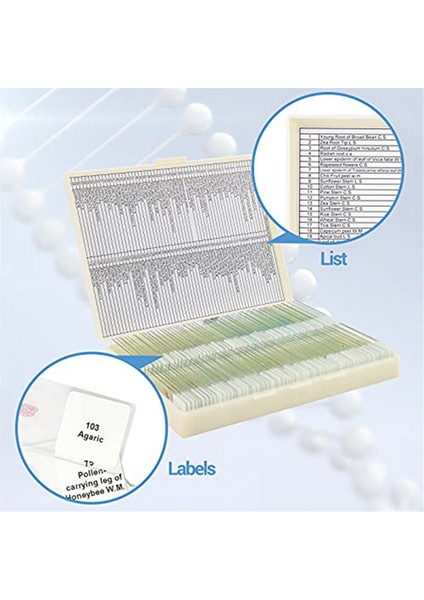 Çocuklardan Örneklerle Mikroskop Slaytları, Çocuklarda Yetişkin Mikrobiyoloji Için Mikroskop Slaytları, 100 Adet (Yurt Dışından) fırsatları