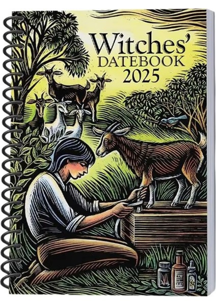 Cadıların Tarih Defteri 2025 Modern Cadı'nın Grimoire Günlüğü Güzel (Yurt Dışından)