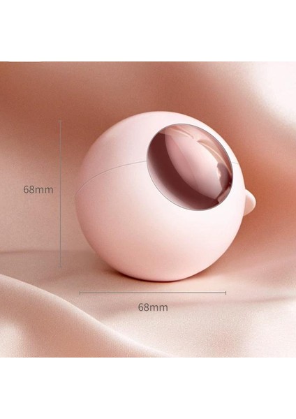 Yıkanabilir Kılıflı Taşınabilir Tiftiksiz Elbise Fırçası (Yurt Dışından)