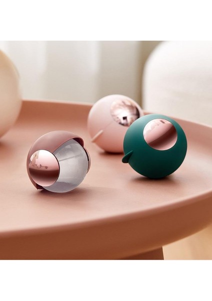 Yıkanabilir Kılıflı Taşınabilir Tiftiksiz Elbise Fırçası (Yurt Dışından) fiyatları