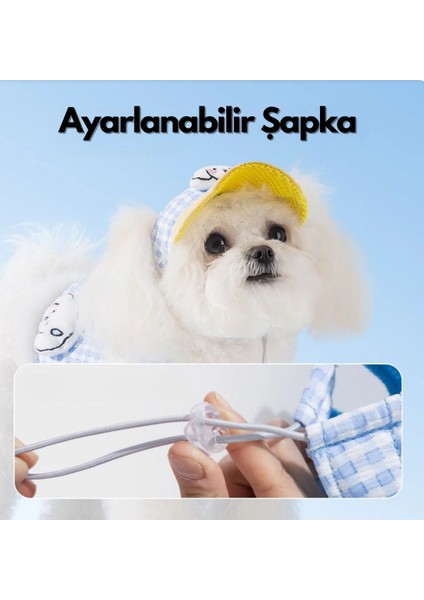 Şapkalı Göğüs Tasması Set (3 Parça) Nefes Alabilir ve Konforlu Kedi/köpek