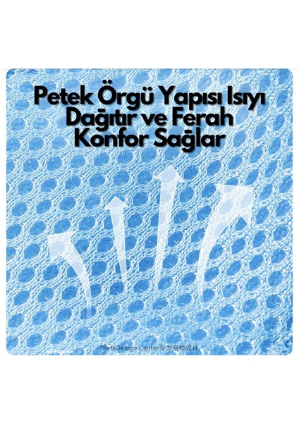Şapkalı Göğüs Tasması Set (3 Parça) Nefes Alabilir ve Konforlu Kedi/köpek