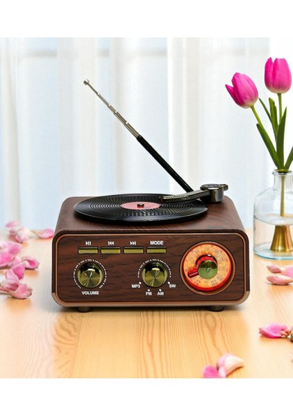 Dcx-11 Özel Tasarım Ahşap Görünümlü Retro Vintage Nostaljik Radyo & Bluetootlu Mini Fm Radyo