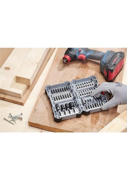 Professional Accessories 2608522333 Çift-'' Impact Ph2 Tornavida Ucu-Pz2 8-Parça, 0 W, 0 V modelleri