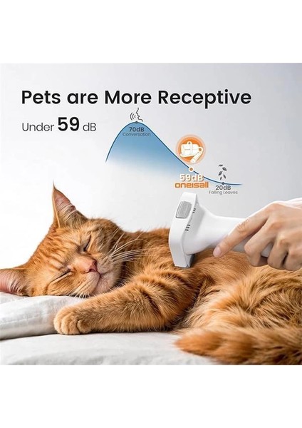 Kedi ve Köpek Bakım Seti modelleri