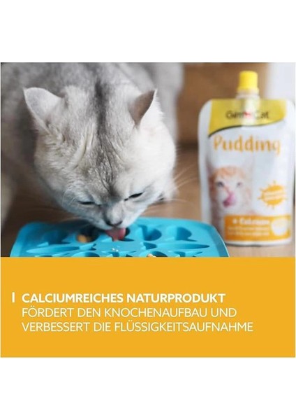 Puding Kedi Ödülü 150 gr modelleri