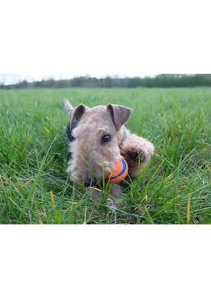 ! Ultra Ball Köpek Oyuncak Topu, 3 Adet (Medium) - Yüksek Sıçrama Gücü, Dayanıklı Kauçuk indirimleri