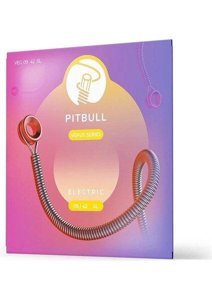 Elektro Gitar Teli Venüs Seri Veg 09-42 Sl(Super Light)