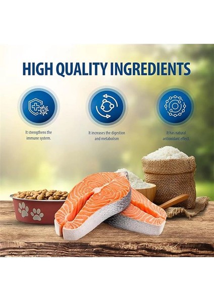 Plus Kısır Somon 1,5kg modelleri