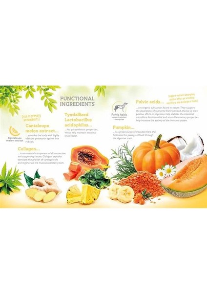 Functional Snack, Dişler ve Diş Etlerini Korumak Için, Tahılsız, Geyik Etli ve Biberiyeli indirimleri