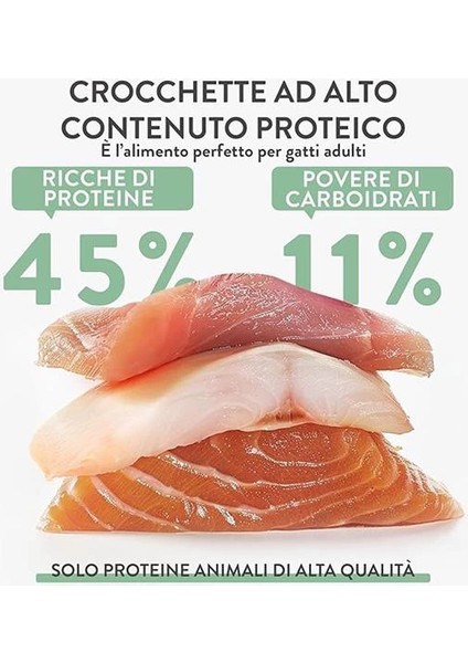 Born Carnivore Somonlu ve Ringa Balıklı Yetişkin Kedi Maması 255G