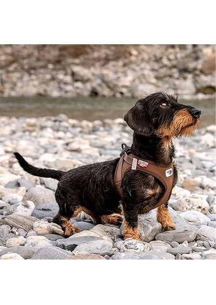 Vest Harness Clasp Softshell Brown M