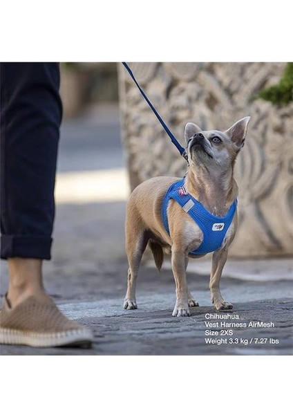 Basic Harness Air-Mesh Black L