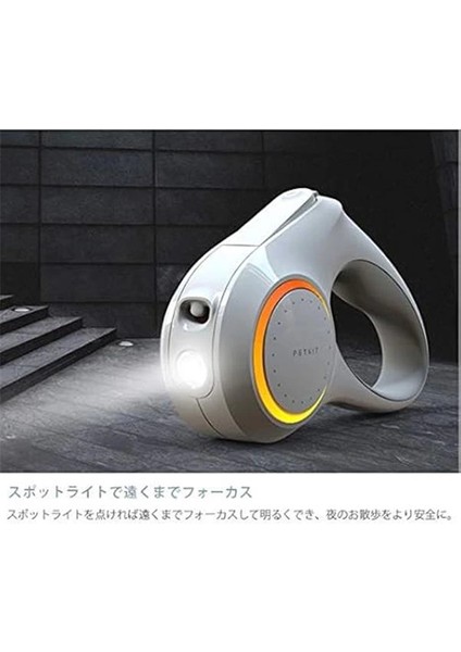 Ledli Köpek Tasması 3m modelleri