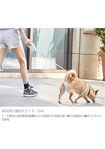 Ledli Köpek Tasması 3m fırsatları