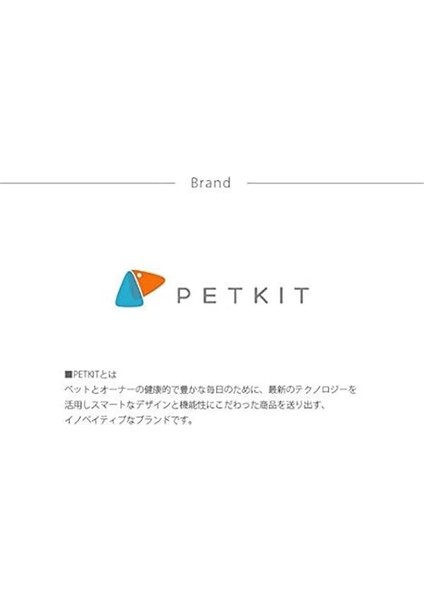 Ledli Köpek Tasması 3m