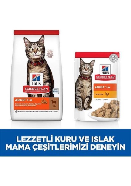 Hill's Scıence Plan Yetişkin Kuzulu Kedi Maması 3 kg